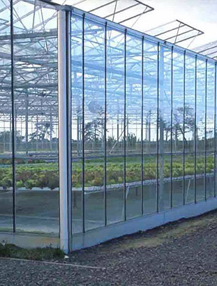 贵州智能玻璃温室大棚解决方案