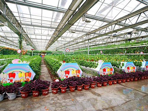济南玻璃温室农业观光园
