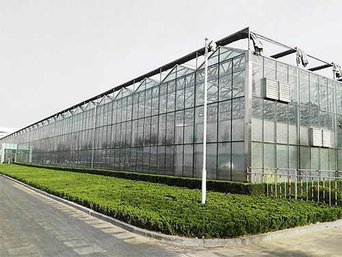 丹东玻璃温室建设