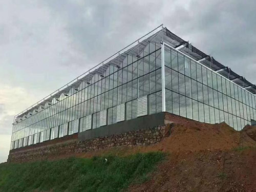 蚌埠玻璃大棚温室