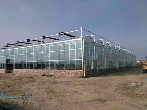 内蒙古连栋玻璃温室